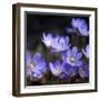 Purple Flowers-null-Framed Photographic Print