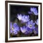 Purple Flowers-null-Framed Photographic Print