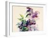 Purple Flowers-Boyan Dimitrov-Framed Art Print