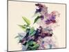 Purple Flowers-Boyan Dimitrov-Mounted Art Print