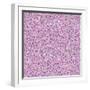 Purple Flowers-Effie Zafiropoulou-Framed Giclee Print