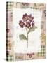 Purple Flowers-Hope Street Designs-Stretched Canvas