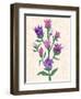 Purple Flowers-Cody Alice Moore-Framed Art Print