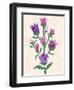 Purple Flowers-Cody Alice Moore-Framed Art Print