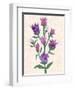 Purple Flowers-Cody Alice Moore-Framed Art Print