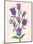 Purple Flowers-Cody Alice Moore-Mounted Art Print