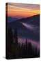 Purple Fog Sunset, Olympic National Park, Washington, USA-Gary Luhm-Stretched Canvas