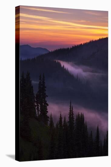 Purple Fog Sunset, Olympic National Park, Washington, USA-Gary Luhm-Stretched Canvas