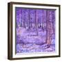 Purple Forest 2, 2012-David Newton-Framed Giclee Print
