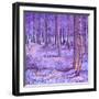 Purple Forest 2, 2012-David Newton-Framed Giclee Print