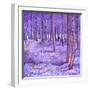 Purple Forest 2, 2012-David Newton-Framed Giclee Print