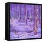 Purple Forest 2, 2012-David Newton-Framed Stretched Canvas