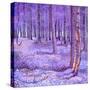 Purple Forest 2, 2012-David Newton-Stretched Canvas