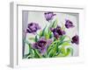 Purple Fringe Tulips-Christopher Ryland-Framed Giclee Print