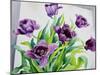 Purple Fringe Tulips-Christopher Ryland-Mounted Giclee Print