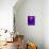 Purple Fuschia Blue Wrap-Ruth Palmer-Framed Stretched Canvas displayed on a wall
