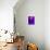 Purple Fuschia Blue Wrap-Ruth Palmer-Stretched Canvas displayed on a wall