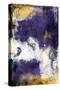 Purple Galaxy-Jace Grey-Stretched Canvas