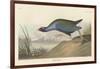 Purple gallinule, 1836-John James Audubon-Framed Giclee Print