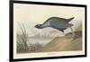 Purple gallinule, 1836-John James Audubon-Framed Giclee Print