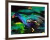 Purple Gallinule Foraging, Everglades National Park, Florida, USA-Charles Sleicher-Framed Photographic Print