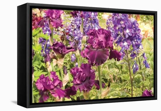 Purple Garden I-Maureen Love-Framed Stretched Canvas