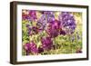 Purple Garden I-Maureen Love-Framed Premium Photographic Print