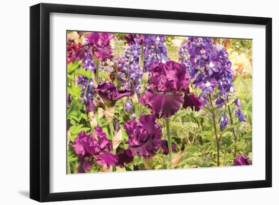 Purple Garden I-Maureen Love-Framed Premium Photographic Print