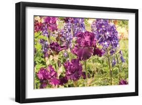 Purple Garden I-Maureen Love-Framed Premium Photographic Print