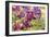 Purple Garden I-Maureen Love-Framed Premium Photographic Print