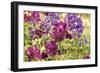 Purple Garden I-Maureen Love-Framed Premium Photographic Print