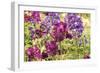 Purple Garden I-Maureen Love-Framed Premium Photographic Print