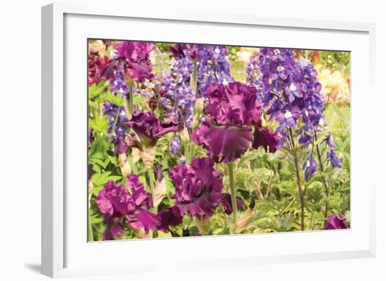 Purple Garden I-Maureen Love-Framed Photographic Print