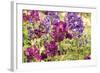 Purple Garden I-Maureen Love-Framed Photographic Print