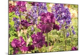 Purple Garden I-Maureen Love-Mounted Photographic Print