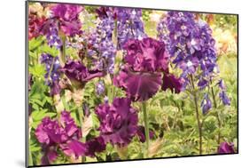 Purple Garden I-Maureen Love-Mounted Photographic Print