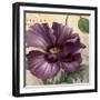 Purple Garden I-Pamela Gladding-Framed Art Print