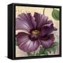 Purple Garden I-Pamela Gladding-Framed Stretched Canvas