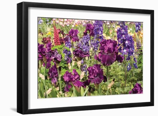 Purple Garden II-Maureen Love-Framed Premium Photographic Print