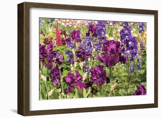 Purple Garden II-Maureen Love-Framed Photographic Print