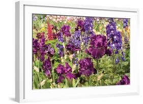 Purple Garden II-Maureen Love-Framed Photographic Print