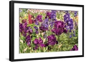 Purple Garden II-Maureen Love-Framed Photographic Print