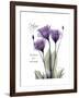 Purple Gentian Hope-Albert Koetsier-Framed Premium Giclee Print