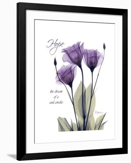 Purple Gentian Hope-Albert Koetsier-Framed Premium Giclee Print