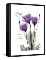 Purple Gentian Hope-Albert Koetsier-Framed Stretched Canvas