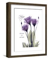 Purple Gentian Hope-Albert Koetsier-Framed Premium Giclee Print