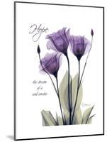 Purple Gentian Hope-Albert Koetsier-Mounted Premium Giclee Print