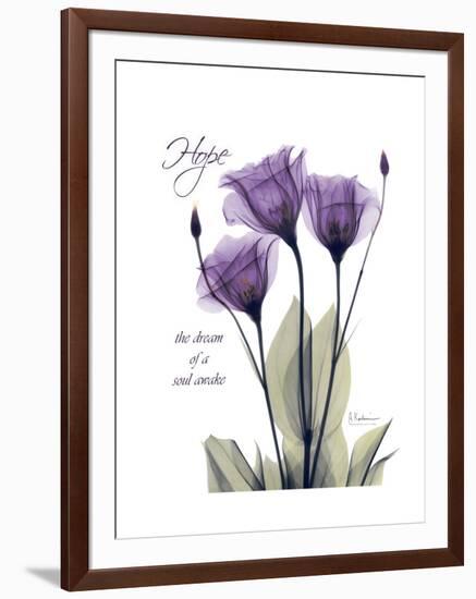 Purple Gentian Hope-Albert Koetsier-Framed Premium Giclee Print