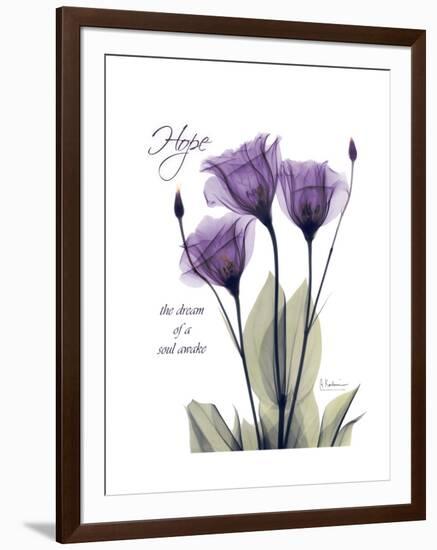 Purple Gentian Hope-Albert Koetsier-Framed Premium Giclee Print