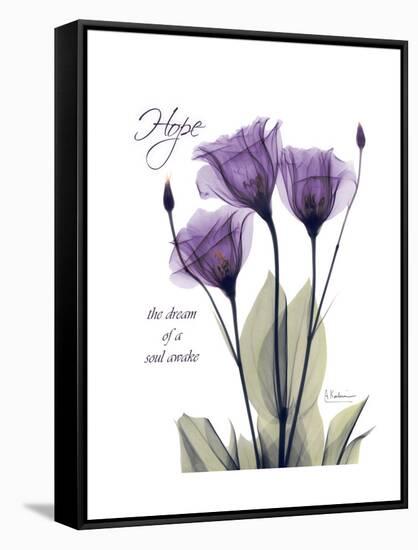 Purple Gentian Hope-Albert Koetsier-Framed Stretched Canvas